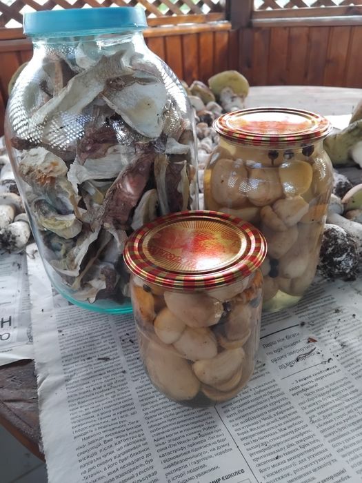 Продаються гриби