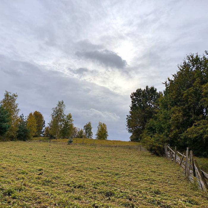 Działka 9,5 ara Brzesko | Projekt domu | 300 000 zł - Widok 4