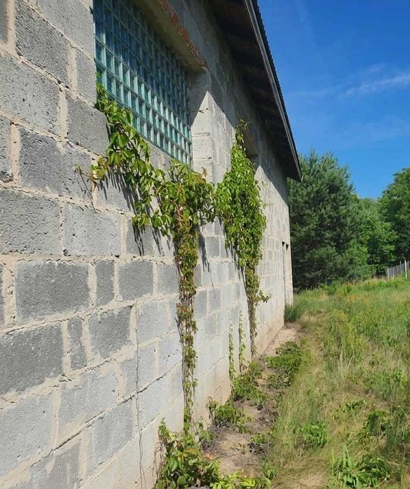 Duża działka budowlana w Nieporęcie nieopodal Warszawy