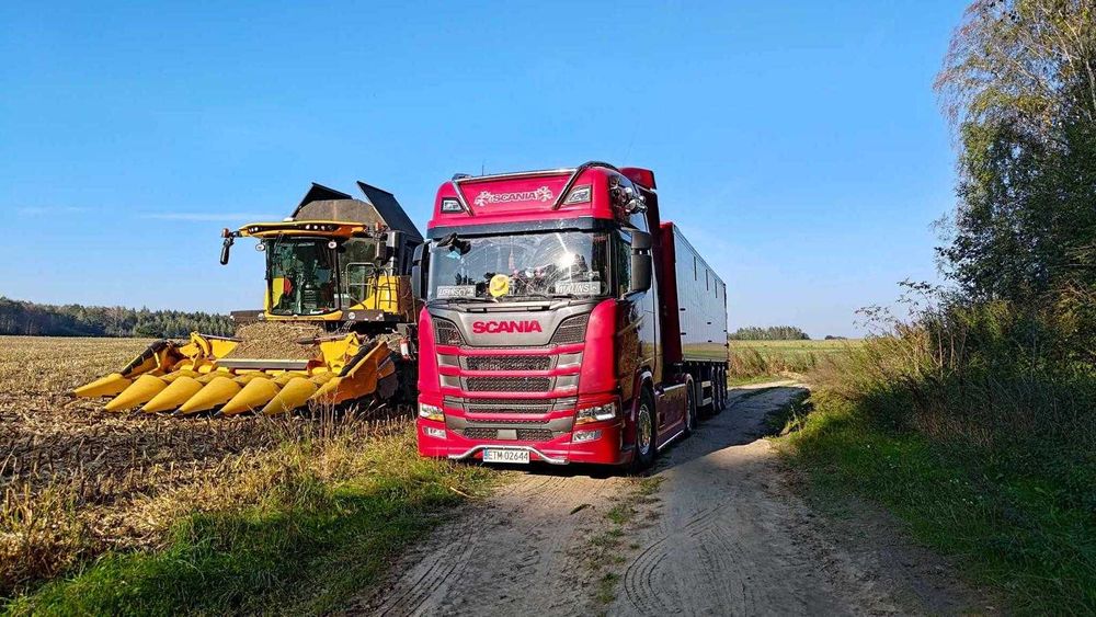 Skup i Sprzedaż zbóż,rzepaku i kukurydzy LIPIŃSCY !!!