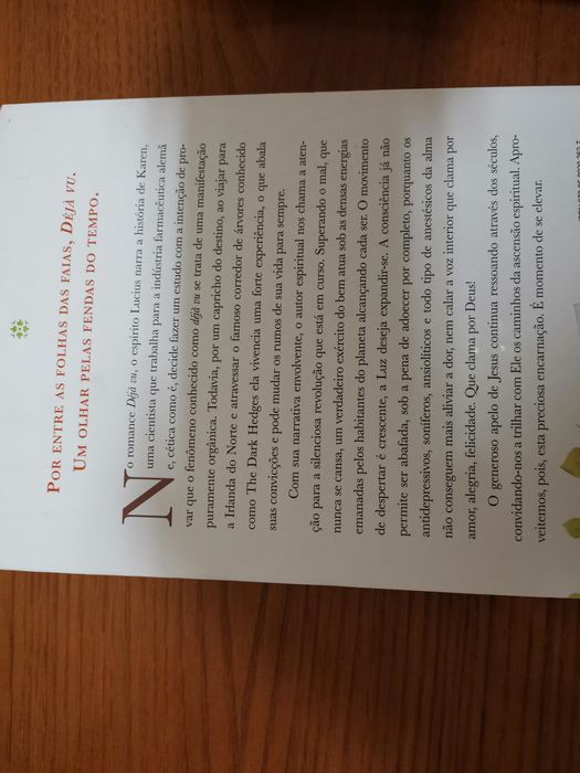 Livro "A noiva do capitão Brian"