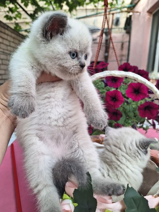 Супер детки, бронь!