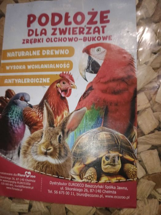 podłoże do terrarium