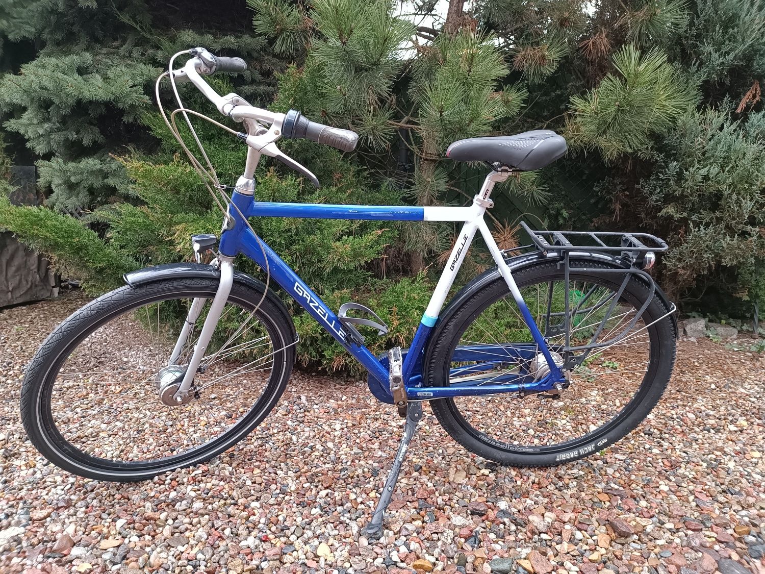 Gazelle luzern plus shop