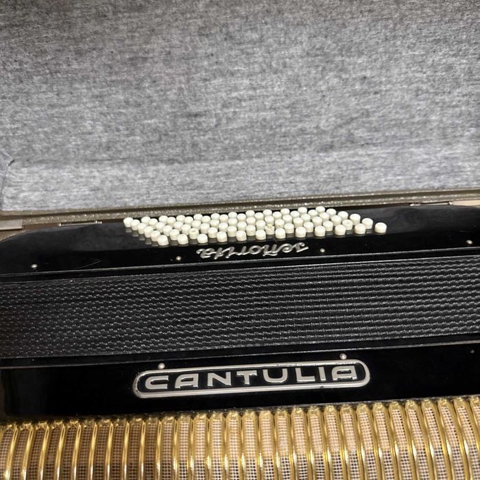 Acordeão de 72 baixos

Marca - Cantulia 

Instrume