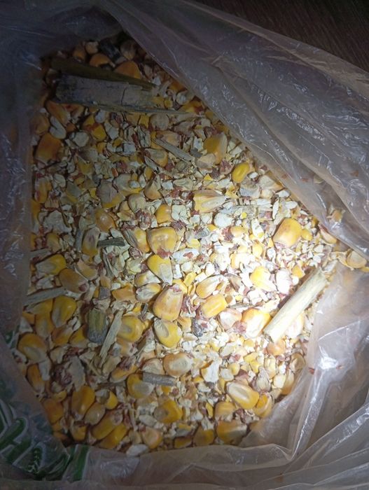 Продам подрібнену кукурудзу