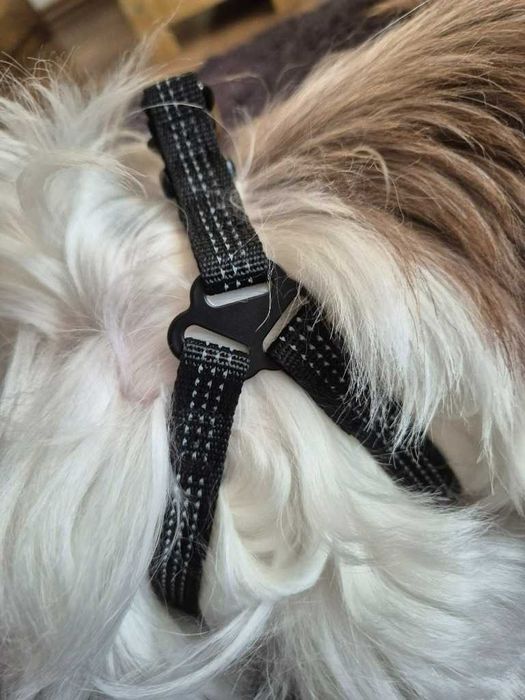 Regulowane Czarne Szelki dla Psa
