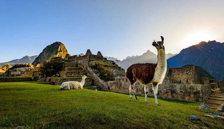 " Guias de Viagem DK PERU  " -> NOVO