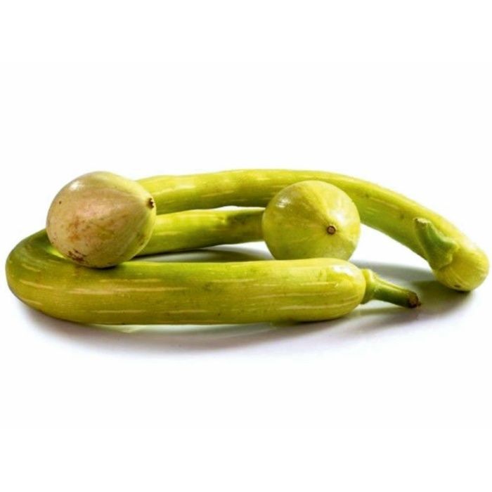 5 Sementes Abóbora Trompete - cucurbita moschata