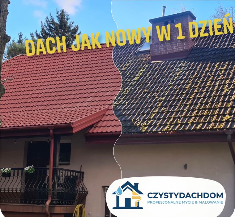 Czyszczenie dachów, elewacji