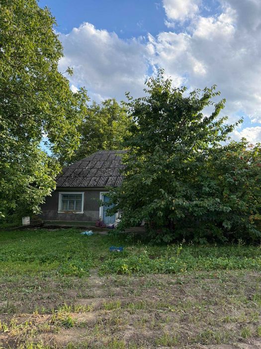 Продам земельну ділянку с. Оринин