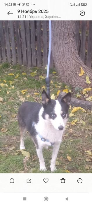 Неймовірно активна