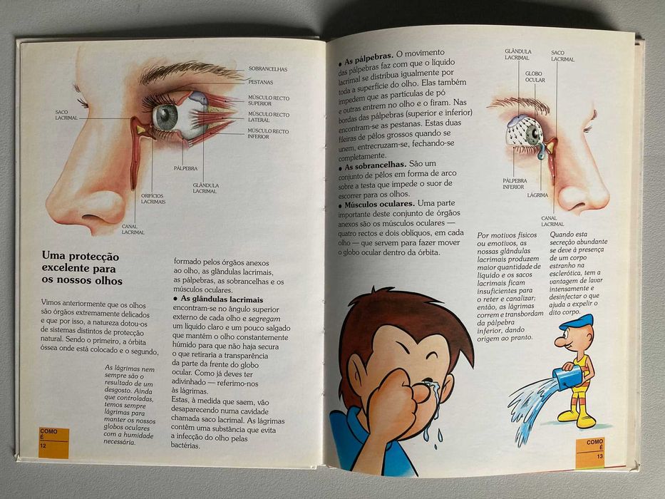 A Vista (Once Upon a Time the Human Body, number 15)64398424450177122