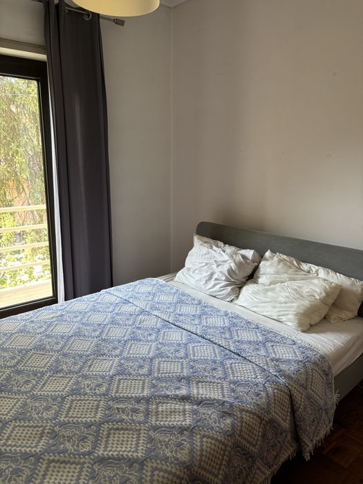 Cama + colchão