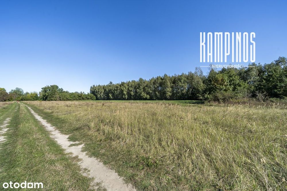 Działka z warunki zabudowy – 15 km od Sochaczewa