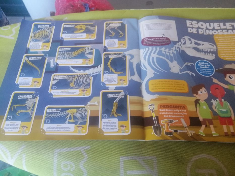 Cadernetas de cromos pingo doce