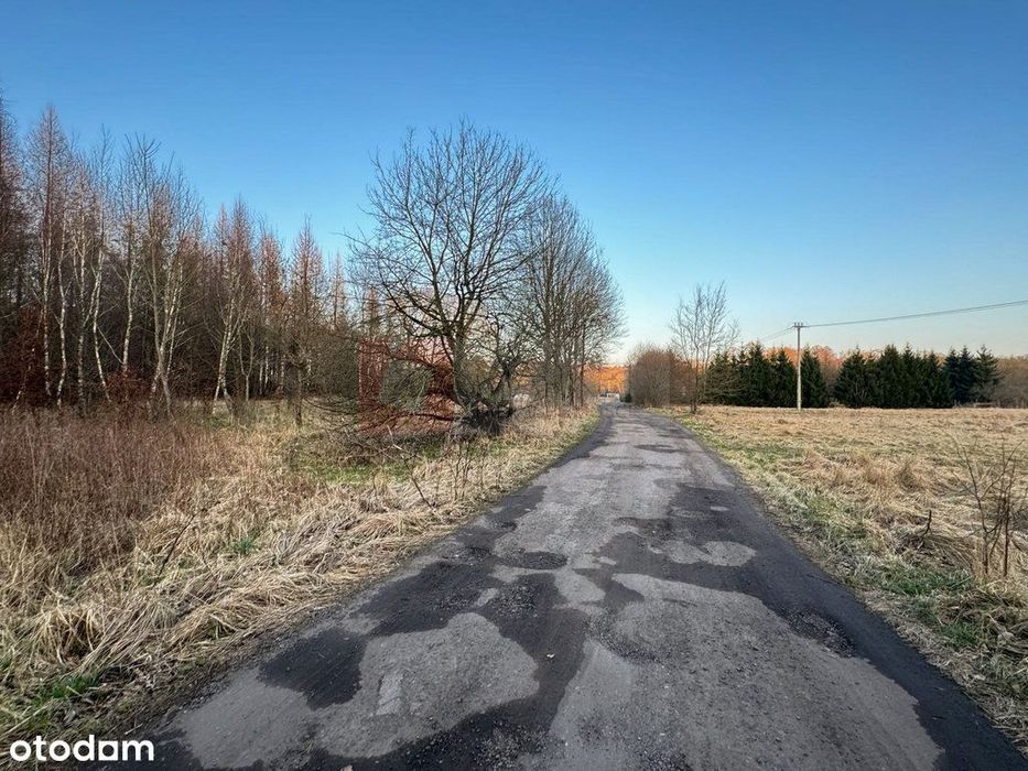 Błotny Młyn 903 m2 działka przy lesie na sprzedaż!