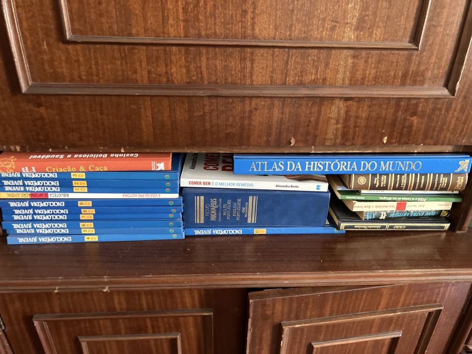 Conjunto de livros, dicionarios, enciclopedias