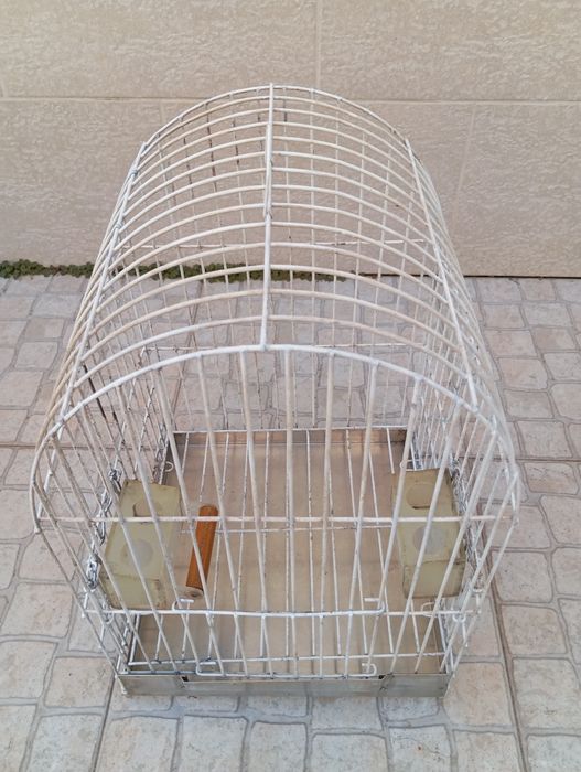 Gaiola 50x40x40 caturra