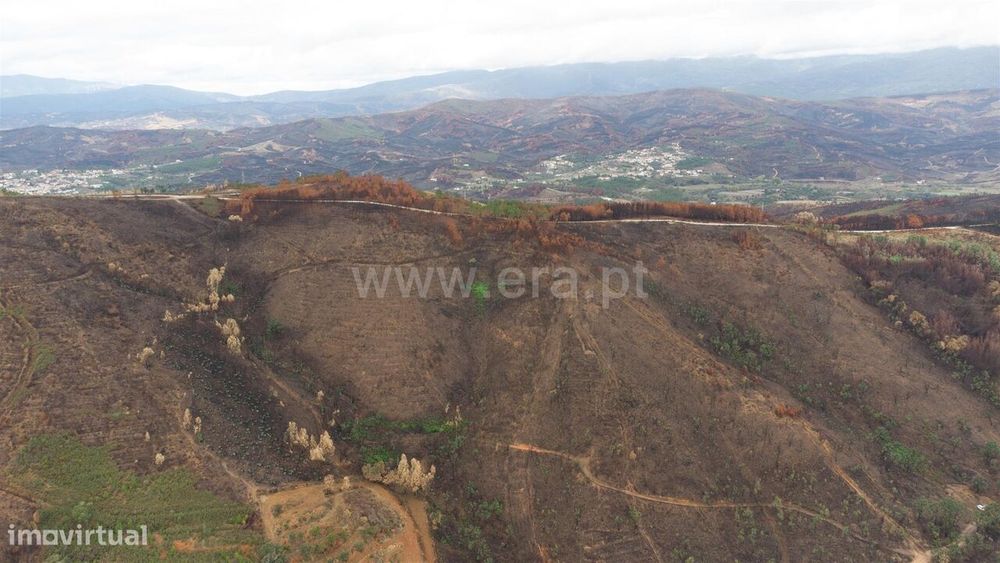 Terreno / Fundão, Telhado