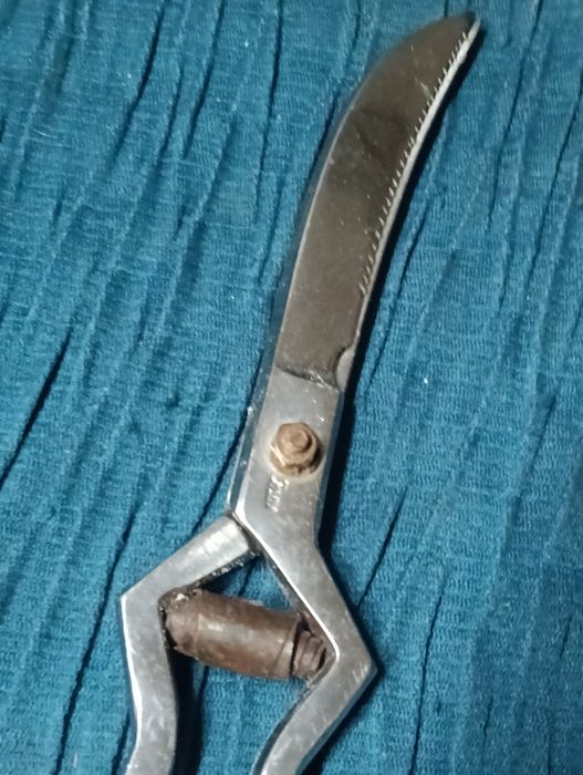 Tesoura de trinchar vintage