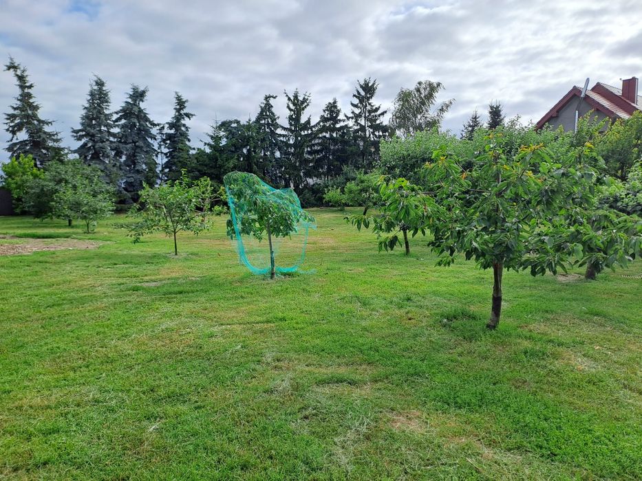 Działka budowlana ul. Brzoskwiniowa - Widok 3