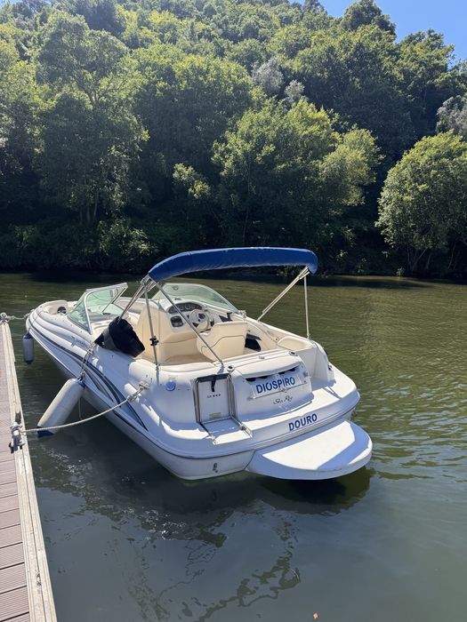 Sea Ray Sundeck 210