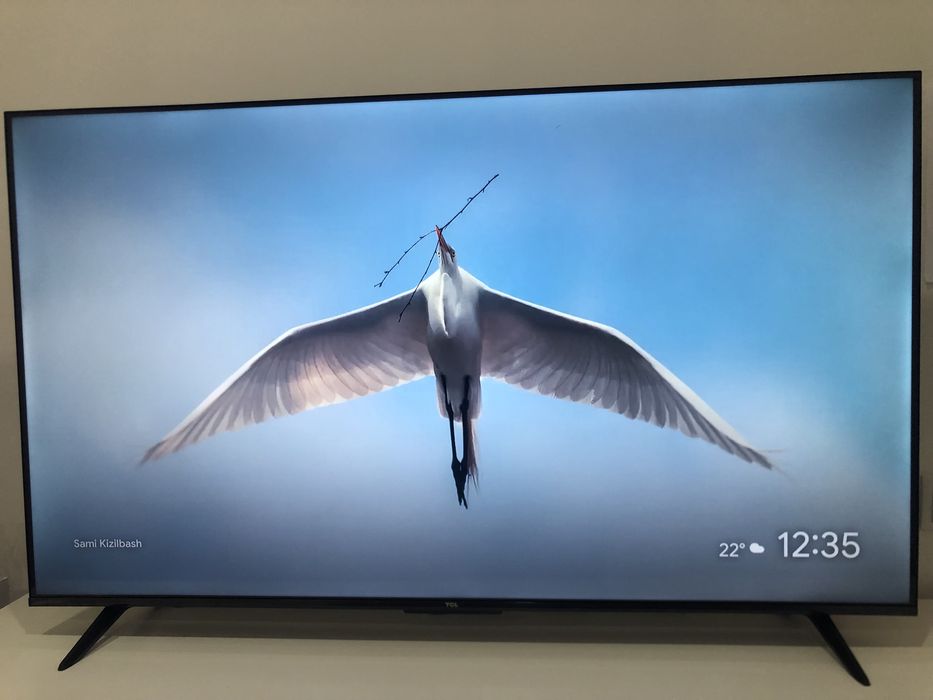Vendo tv tcl smart 55 polegada