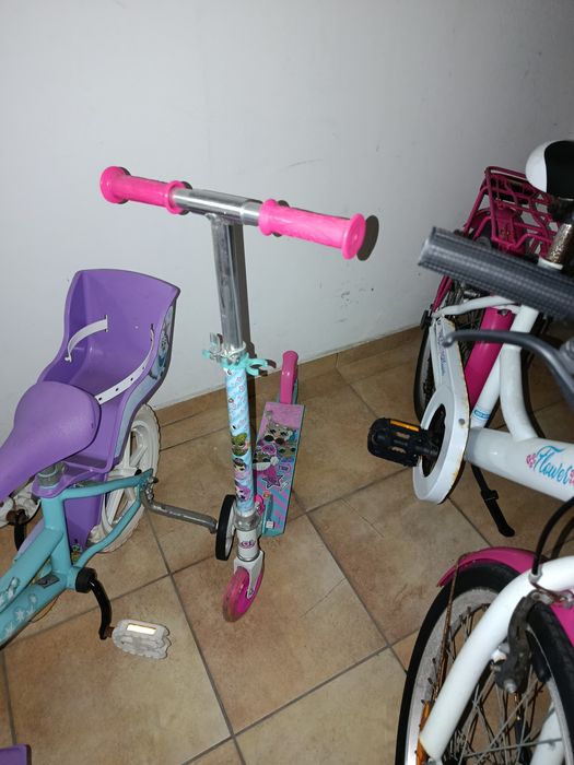 Desde o 1º até ao 11º ano de idade