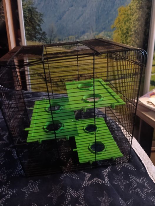 Клетка с нюансами