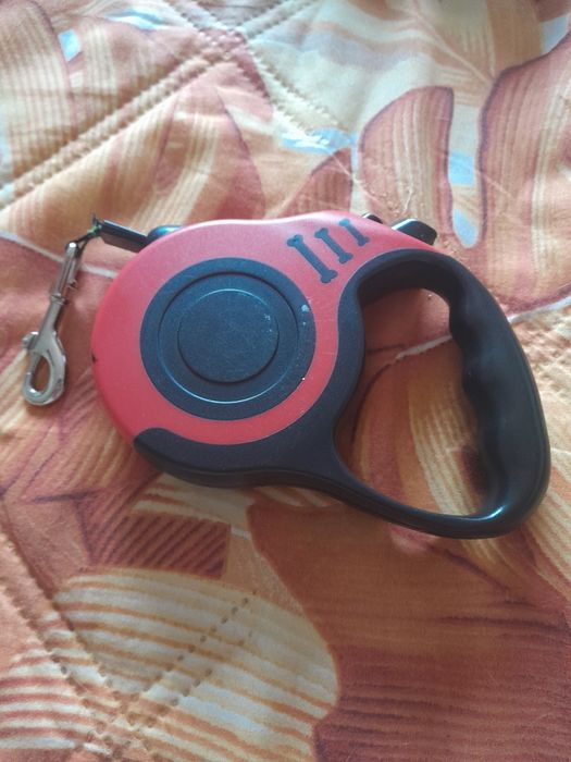 Trelas extensiveis para cão