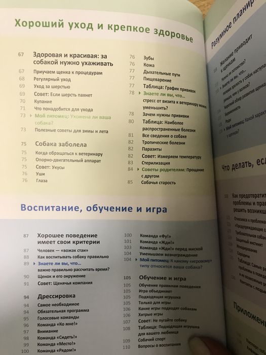 Моя собака