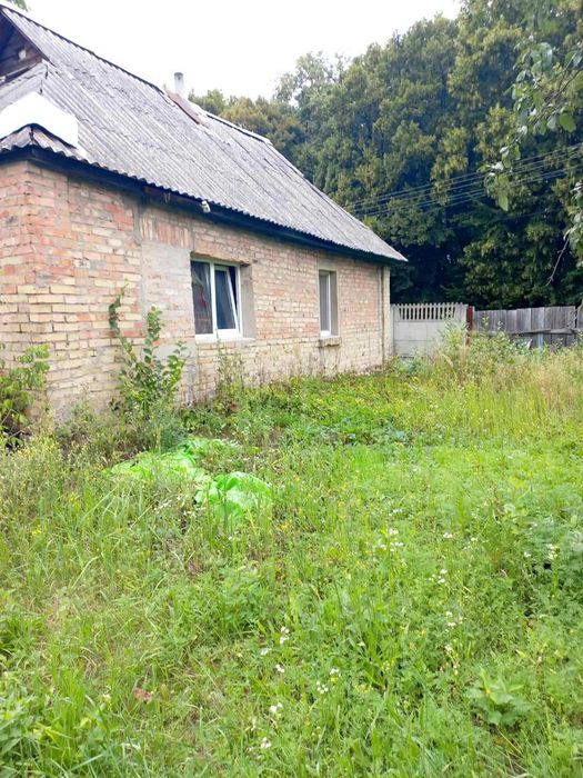 Продається будинок з землею Пухівка