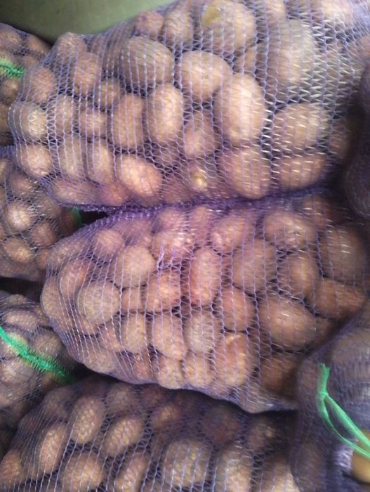 Продам картоплю домашню