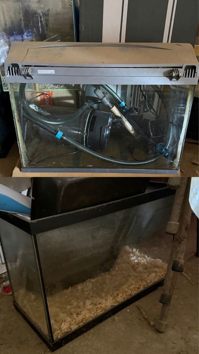Aquarios e acessorios