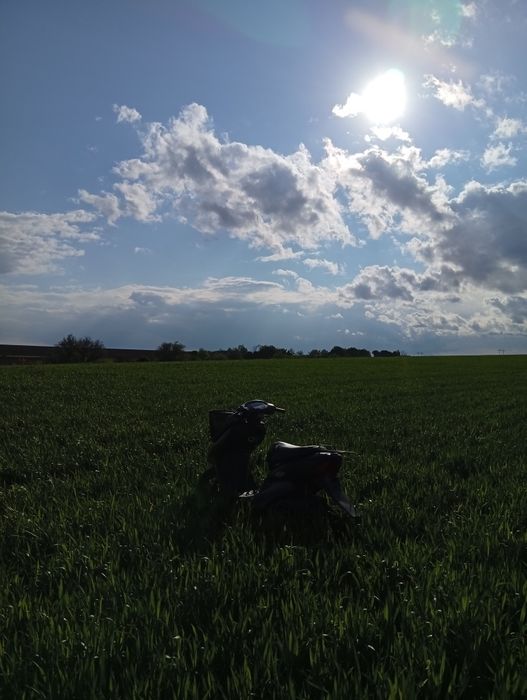 Скутер honda dio cesta
