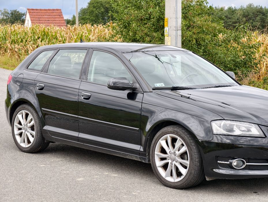Audi A3 8P 2.0 TDI DSG