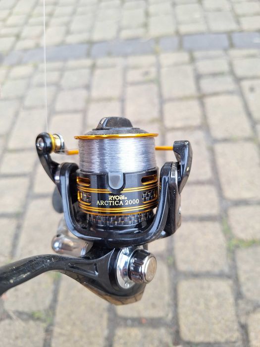 Wędka konger World Champion Zander 285. Kołowrotek Ryobi Arctic 2000
