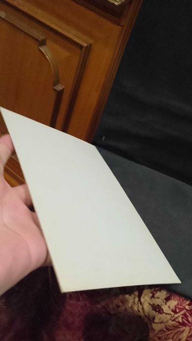 O grupo Turpinii do Gén. Cosmarium em Portugal - Arnaldo Rozeira