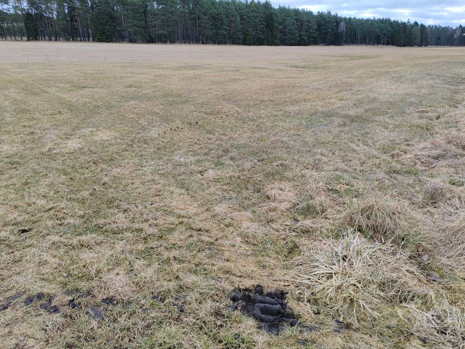 Sprzedam grunty rolne