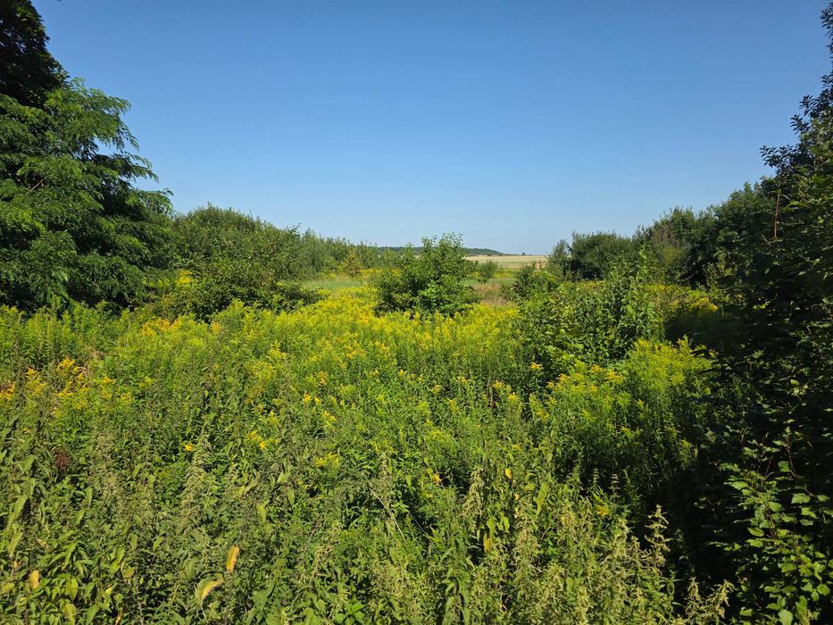 Ділянка на Трасі  Львів - Самбір 1-ша лінія 50 соток