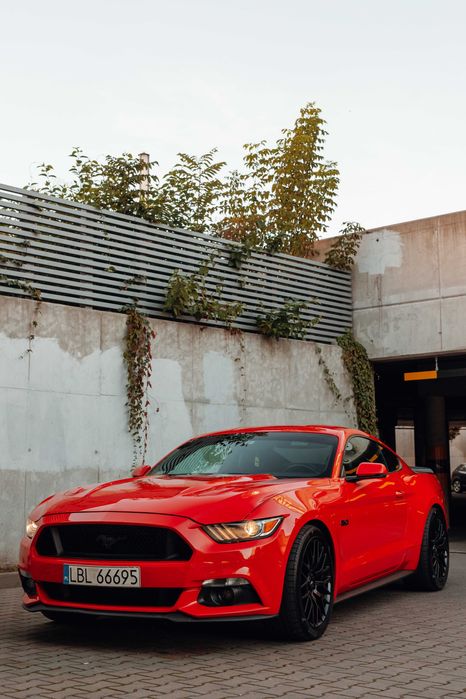 Wynajem Challenger / wypożyczalnia samochodów Rzeszów Krosno Solina