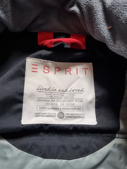 Męska kurtka zimowa Esprit