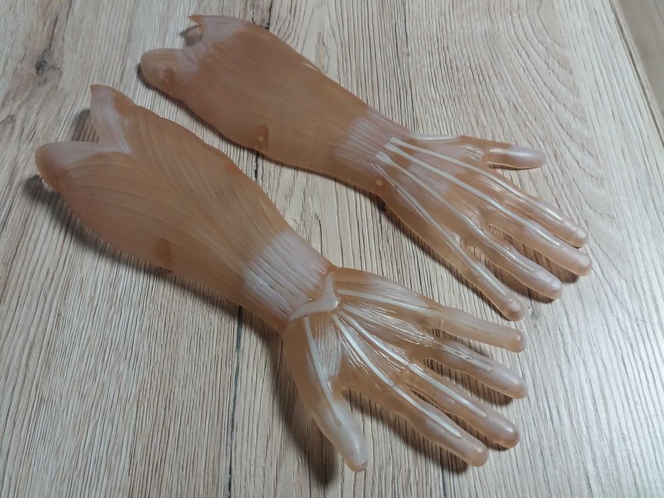 Tajemnice ludzkiego ciała - kolekcja DeAgostini IV