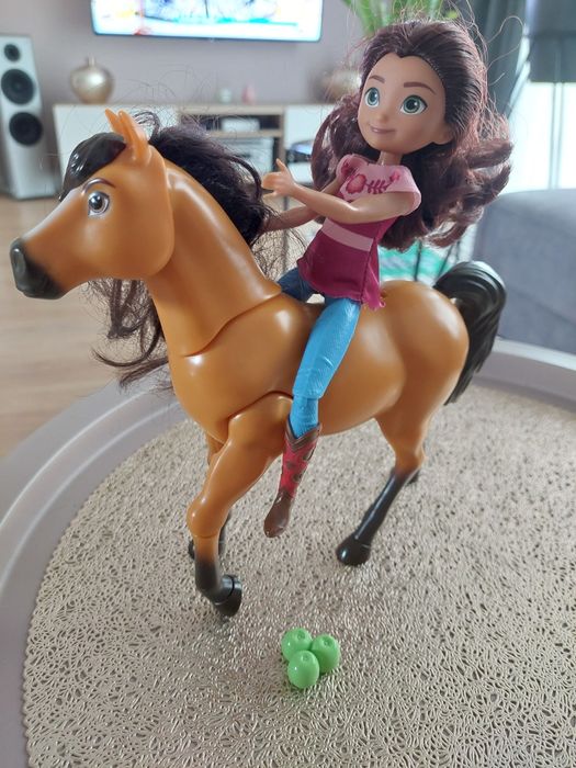 Sprzedam Mustang z dzikiej doliny