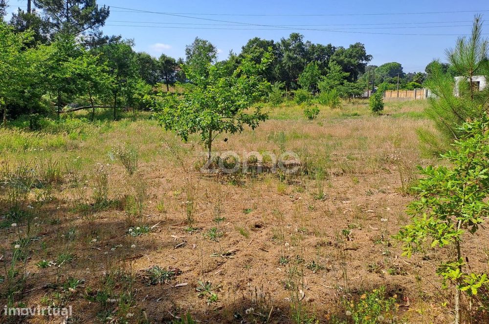 Agricultural Plot in Areeiro, 2978 m², Fenced, Fruit Trees Orchard, Águeda, Ave...