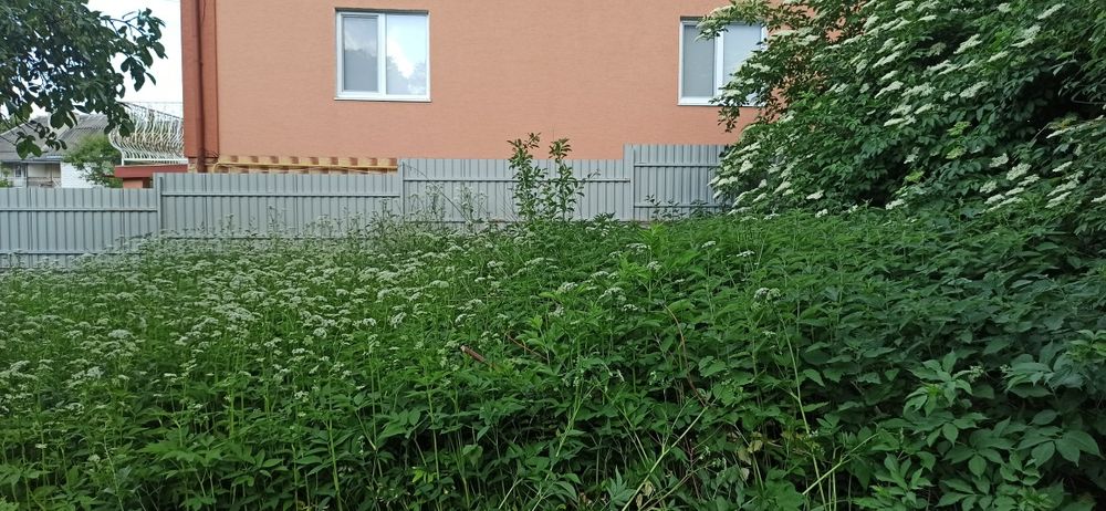 Косіня трави, газону, вирубка кущів, зачистка ділянок.