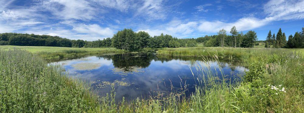 1,56 ha | DZIAŁKA BUDOWLANA ZE STAWEM ≈ 0,40 ha | PRZERĘBSKA HUTA – 35 min od Gdańska - Więcej