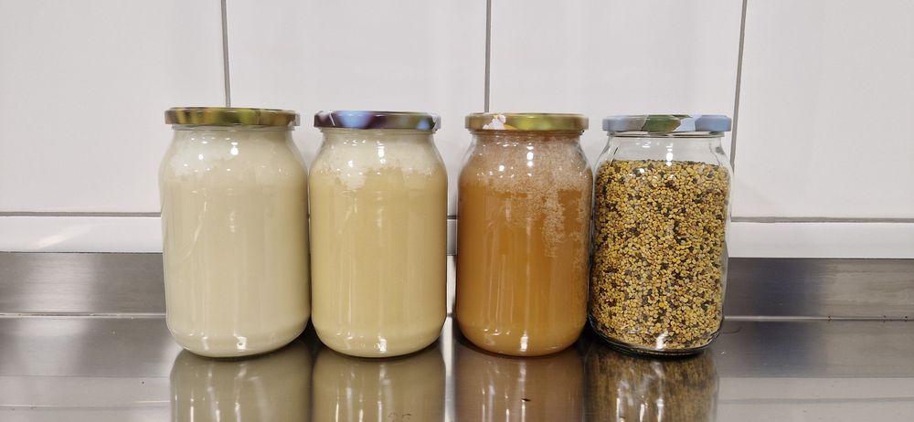 Naturalny miód z własnej pasieki