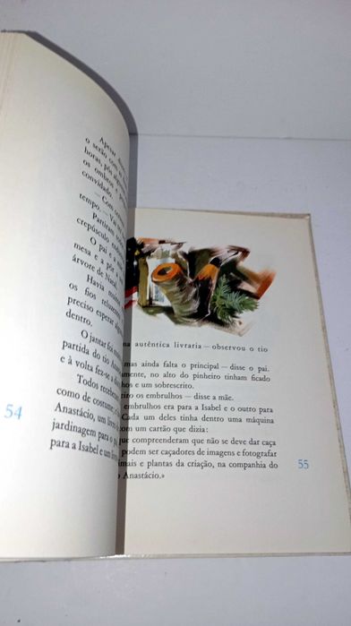 A Casa do pato Azul - Biblioteca Infantil
